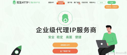 智能化選擇 長效代理IP與票務(wù)代理服務(wù)器分析指南